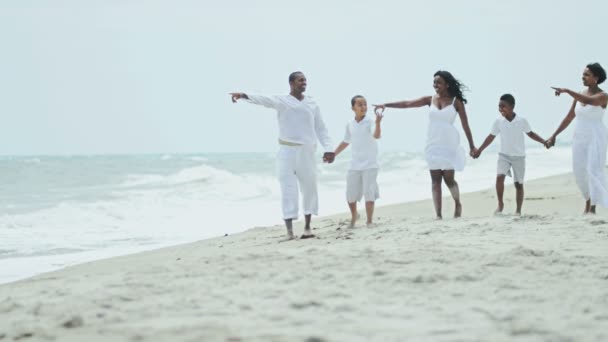 Familie hand in hand op het strand — Stockvideo