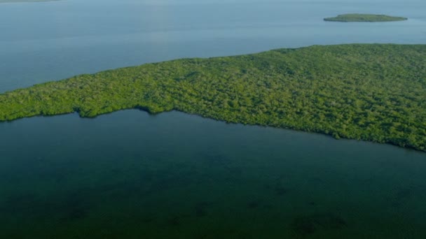 Karibische Insel in türkisfarbener Lagune — Stockvideo