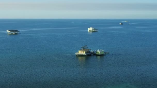 Amanecer de cabañas de madera Stiltsville Canal de Vizcaya — Vídeo de stock