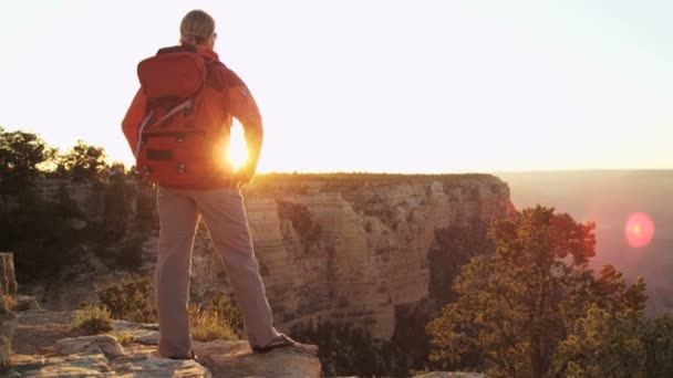 Osservazione femminile Grand Canyon — Video Stock
