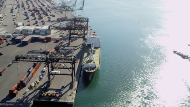 Miami uluslararası nakliye konteyner liman — Stok video