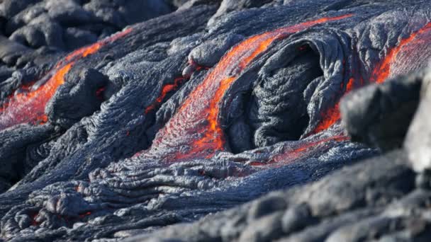 Lava que despeja no oceano Pacífico — Vídeo de Stock