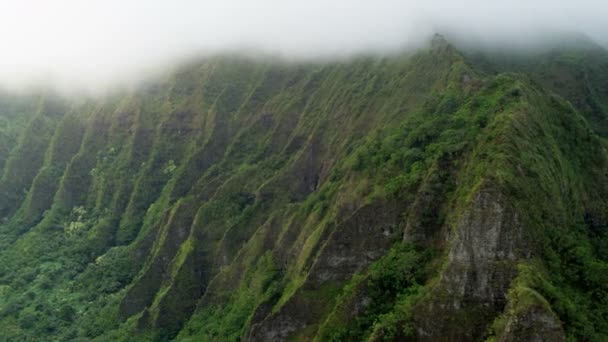 Lavaklippen an der Küste mit üppiger Vegetation bedeckt — Stockvideo