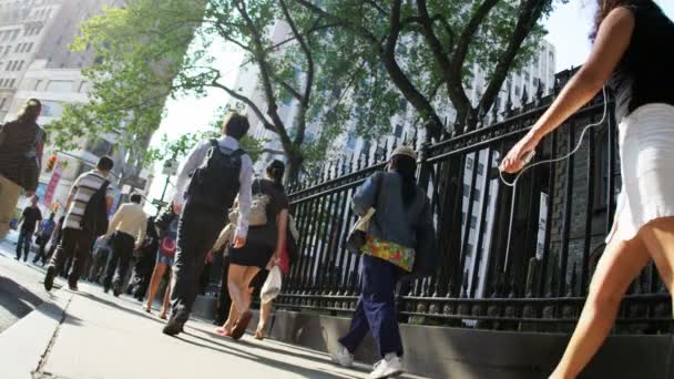 Деловые люди идут на работу пешком — стоковое видео