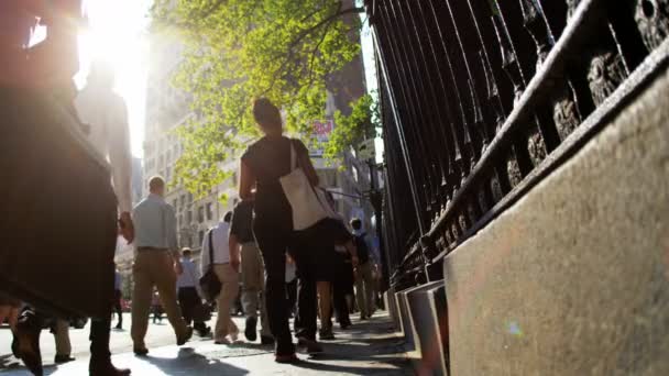 바쁜 도시의 거리에는 관광객 — 비디오