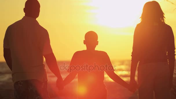 Familie genieten van de zonsondergang — Stockvideo