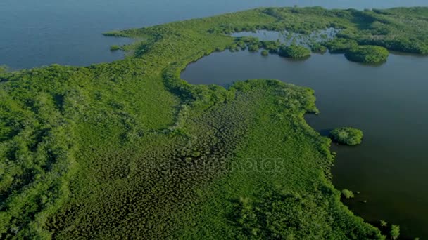 Tropisk ö täckt av rika bördiga vegetation — Stockvideo