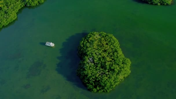 Tropisch eiland bedekt met rijke vruchtbare vegetatie — Stockvideo