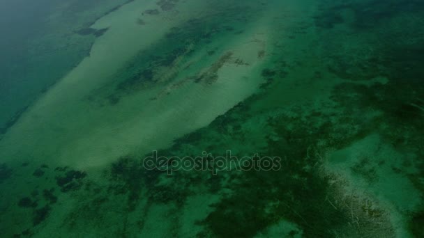 Île des Caraïbes dans la lagune turquoise — Video