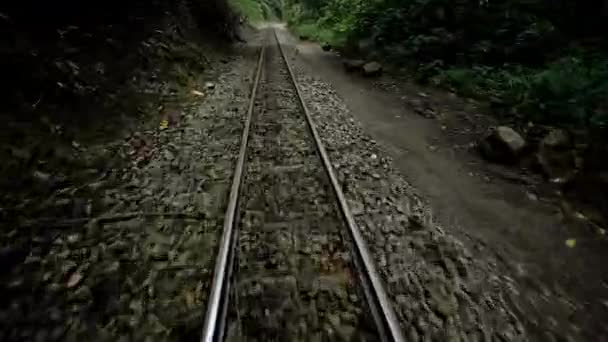 Train travelling along the Hiram Bingham Railroad trail — Stock Video