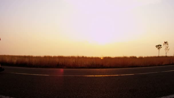 Joggers de la mañana entrenamiento en grupo en carretera — Vídeo de stock