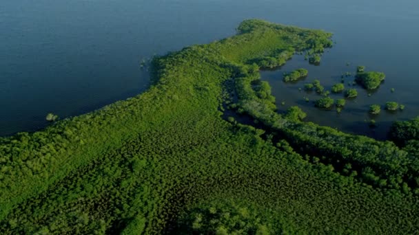 豊かな豊かな植生に覆われた熱帯の島 — ストック動画