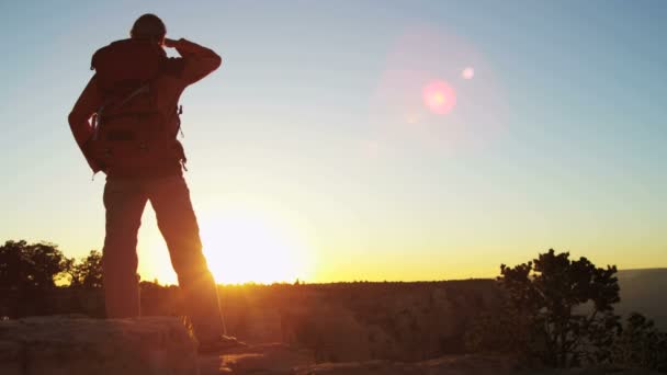 Kobieta oglądanie Grand Canyon — Wideo stockowe