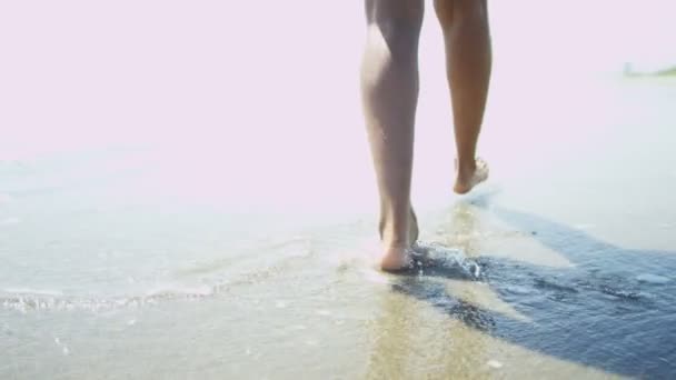 Γυναίκα το περπάτημα σε υγρή άμμο — Αρχείο Βίντεο