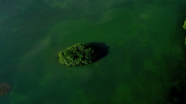 Isla tropical cubierta de rica vegetación fértil — Vídeos de Stock