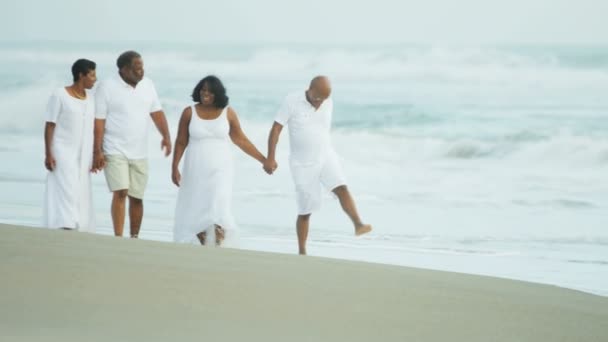 Couples se promenant sur la plage — Video