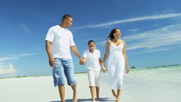 父母和儿子在海滩上玩 — 图库视频影像