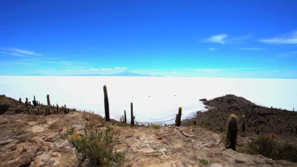 Lago piatto di sale boliviano — Video Stock