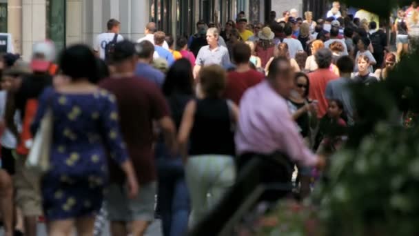 Gente caminando por calles concurridas — Vídeo de stock