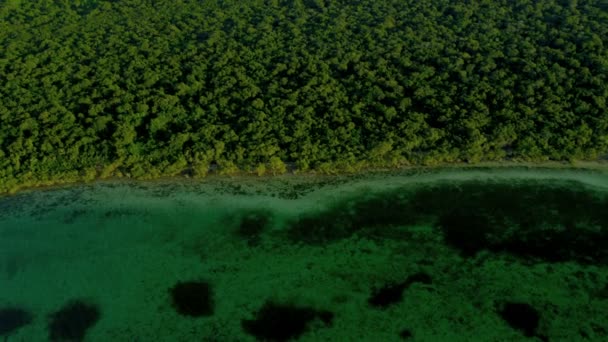 Karibský ostrov v tyrkysové laguny — Stock video