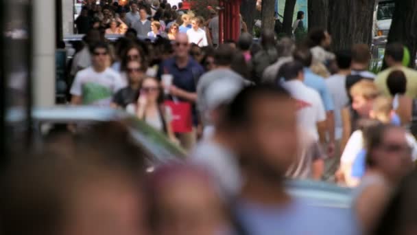 Touristen auf belebten Straßen — Stockvideo