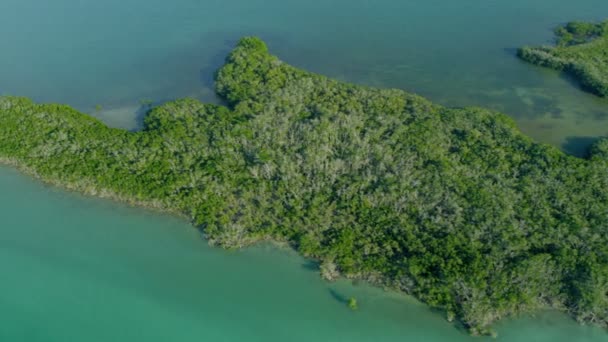 Тропический остров, покрытый богатой плодородной растительностью — стоковое видео