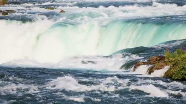 Niagara fällt transparentes Süßwasser — Stockvideo