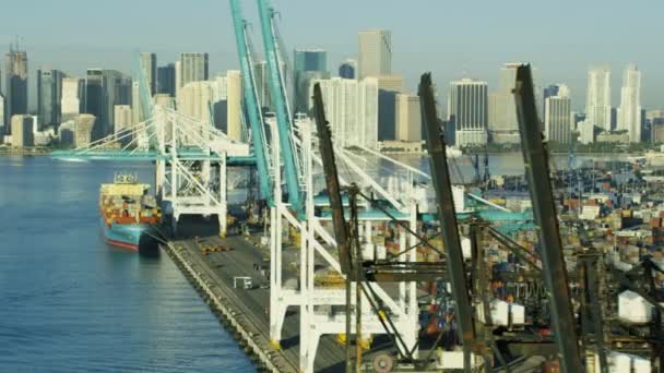 Globální kontejnerová doprava Port, Miami, — Stock video