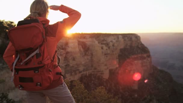 Női Grand Canyon megtekintés — Stock videók