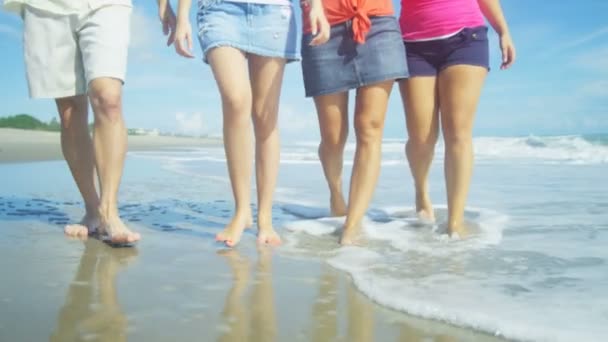 Parents and daughters walking in the water — Stock Video