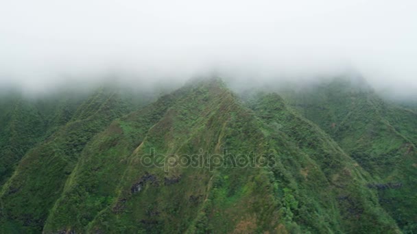 Lavaklippen an der Küste mit üppiger Vegetation bedeckt — Stockvideo