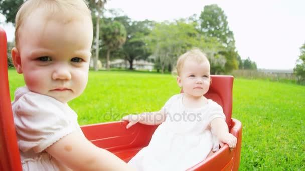 Twins sitting in plastic cart — Stock Video