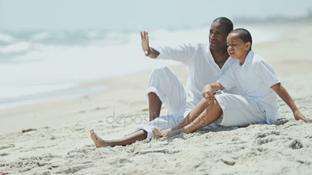 Dad and son relaxing on beach — Stock Video