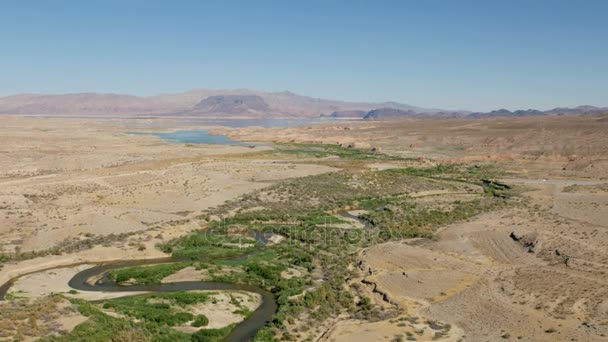 Ökenlandskap, Nevada — Stockvideo