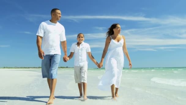 両親と息子海のほとりを歩く — ストック動画