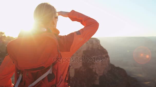 Vrouwelijke bekijken van de Grand Canyon — Stockvideo