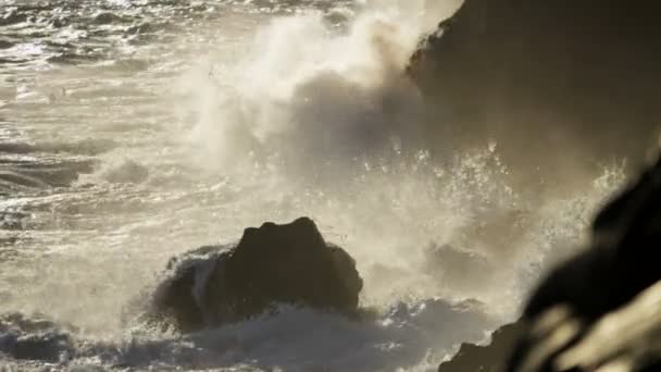 Lava pours into ocean — Stock Video