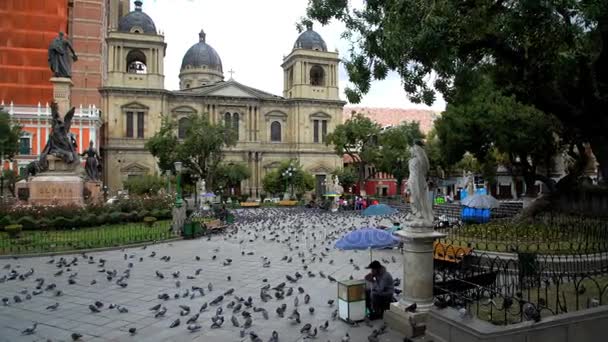 La Paz Büyükşehir Katedrali — Stok video