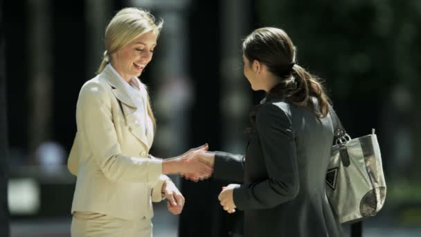 Business women meeting outdoors — стоковое видео