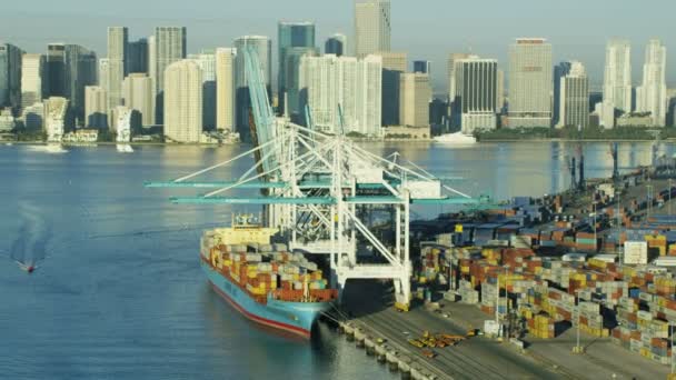 Παγκόσμια μεταφοράς εμπορευματοκιβωτίων λιμάνι, Μαϊάμι, — Αρχείο Βίντεο