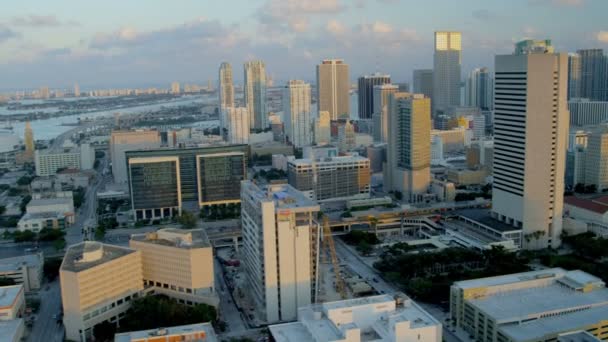 Financial District Biscayne Bay — Stock Video