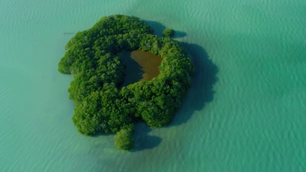 Island in lagoon waters — Stock Video