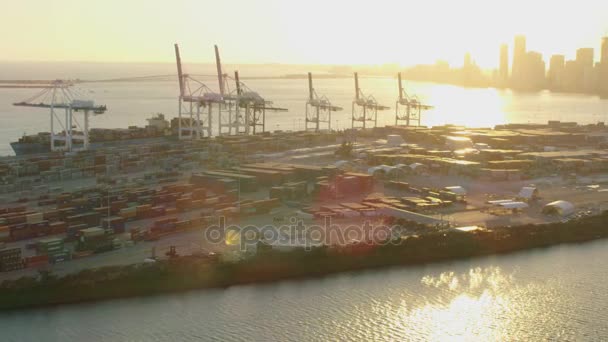 Puerto de contenedores y terminal de cruceros de Miami — Vídeos de Stock