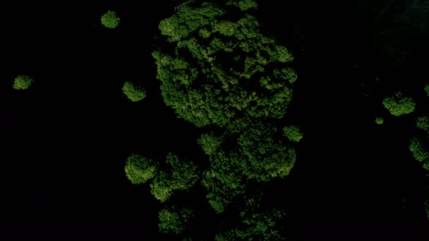 在丰富的肥沃植被覆盖的热带小岛 — 图库视频影像