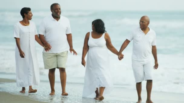 Élő nyugdíjas párok a strandon — Stock videók