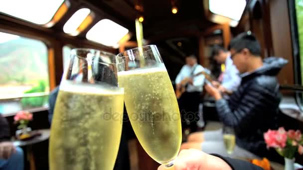 Turistas bebiendo Champagne en el tren — Vídeo de stock