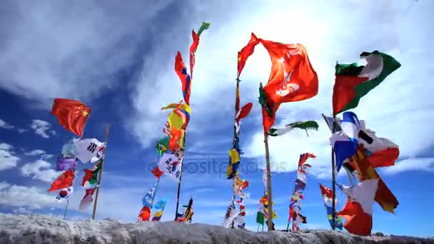 Salar de Uyuni Pisos de sal con banderas internacionales — Vídeo de stock