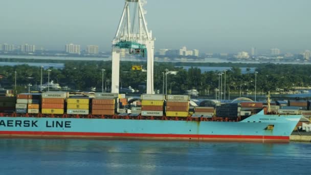 Puerto de envío global de contenedores, Miami , — Vídeo de stock