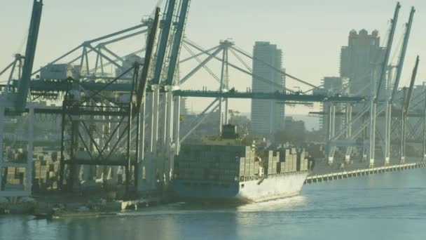 Global container verschepen poort, Miami, — Stockvideo