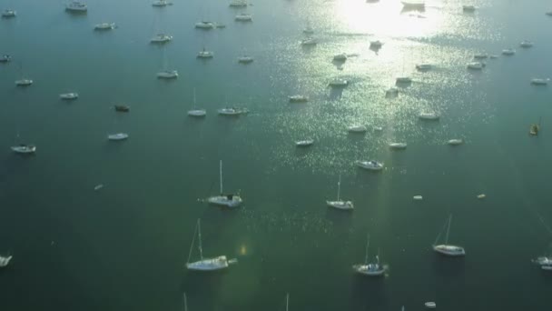 Sonnenaufgang der festgemachten Yachten, Miami — Stockvideo